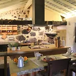 Casa De Vilar De Rei - Refugio No Minho Com Piscina Holiday home Ponte de Lima