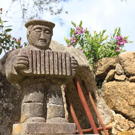 Casa De Vilar De Rei - Refugio No Minho Com Piscina