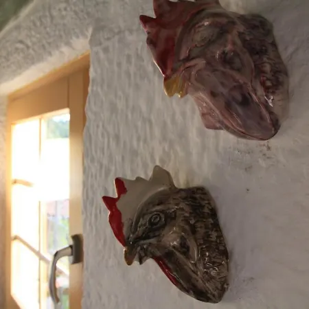 Casa De Vilar De Rei - Refugio No Minho Com Piscina *