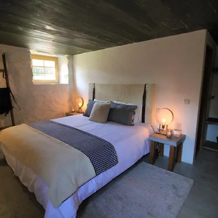 Casa De Vilar De Rei - Refugio No Minho Com Piscina Semesterbostad Ponte de Lima