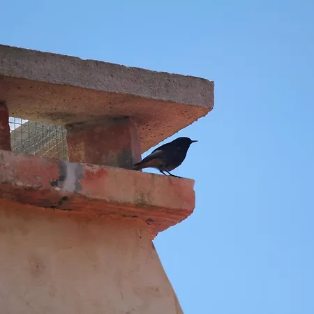 Prázdninový dům Casa De Vilar De Rei - Refugio No Minho Com Piscina Ponte de Lima