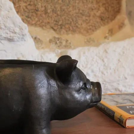 Casa De Vilar De Rei - Refugio No Minho Com Piscina * Ponte de Lima