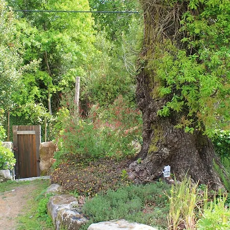 Casa De Vilar De Rei - Refugio No Minho Com Piscina Dom wakacyjny Ponte de Lima