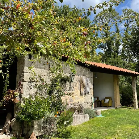 Casa De Vilar De Rei - Refugio No Minho Com Piscina