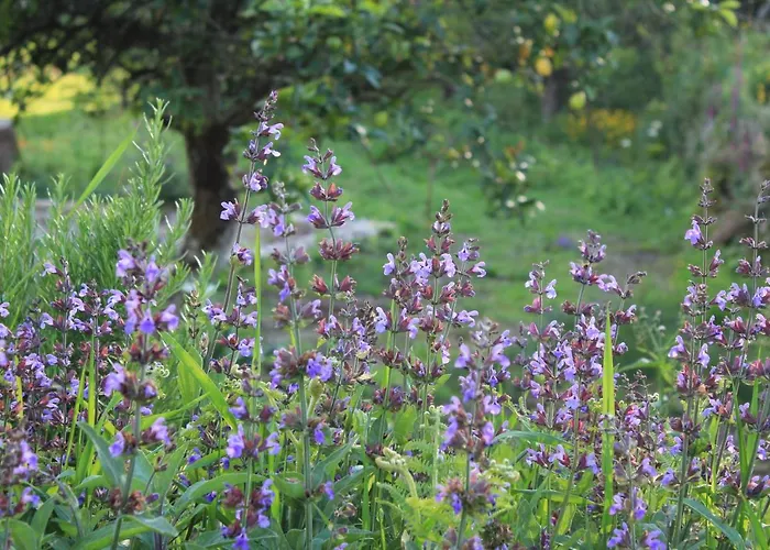 Holiday home Casa De Vilar De Rei - Refugio No Minho Com Piscina *