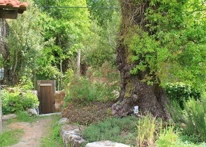 Casa De Vilar De Rei - Refugio No Minho Com Piscina Holiday home Ponte de Lima