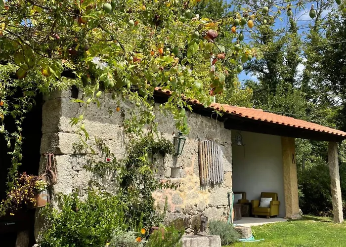 Casa De Vilar De Rei - Refugio No Minho Com Piscina